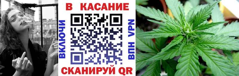 ГАШ Вязьма