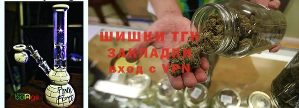 дмт Белокуриха