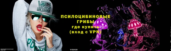 дмт Белокуриха