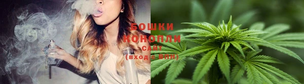 дмт Белокуриха